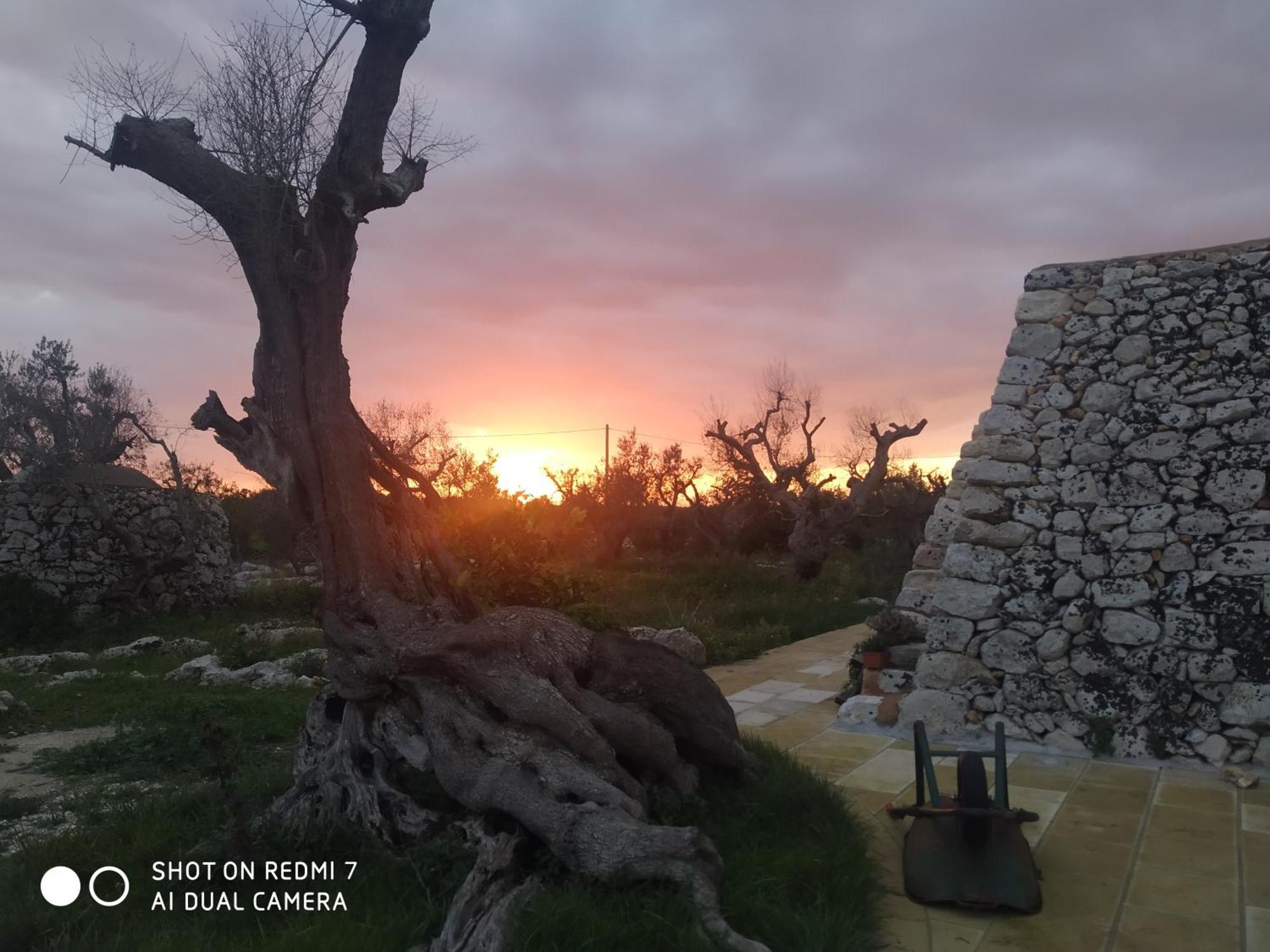 La Nicchia-trullo